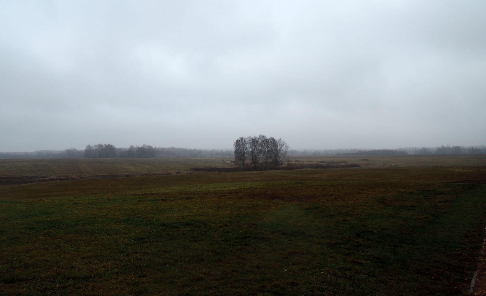 Окрестности деревни Бородино, image of landscape/habitat.