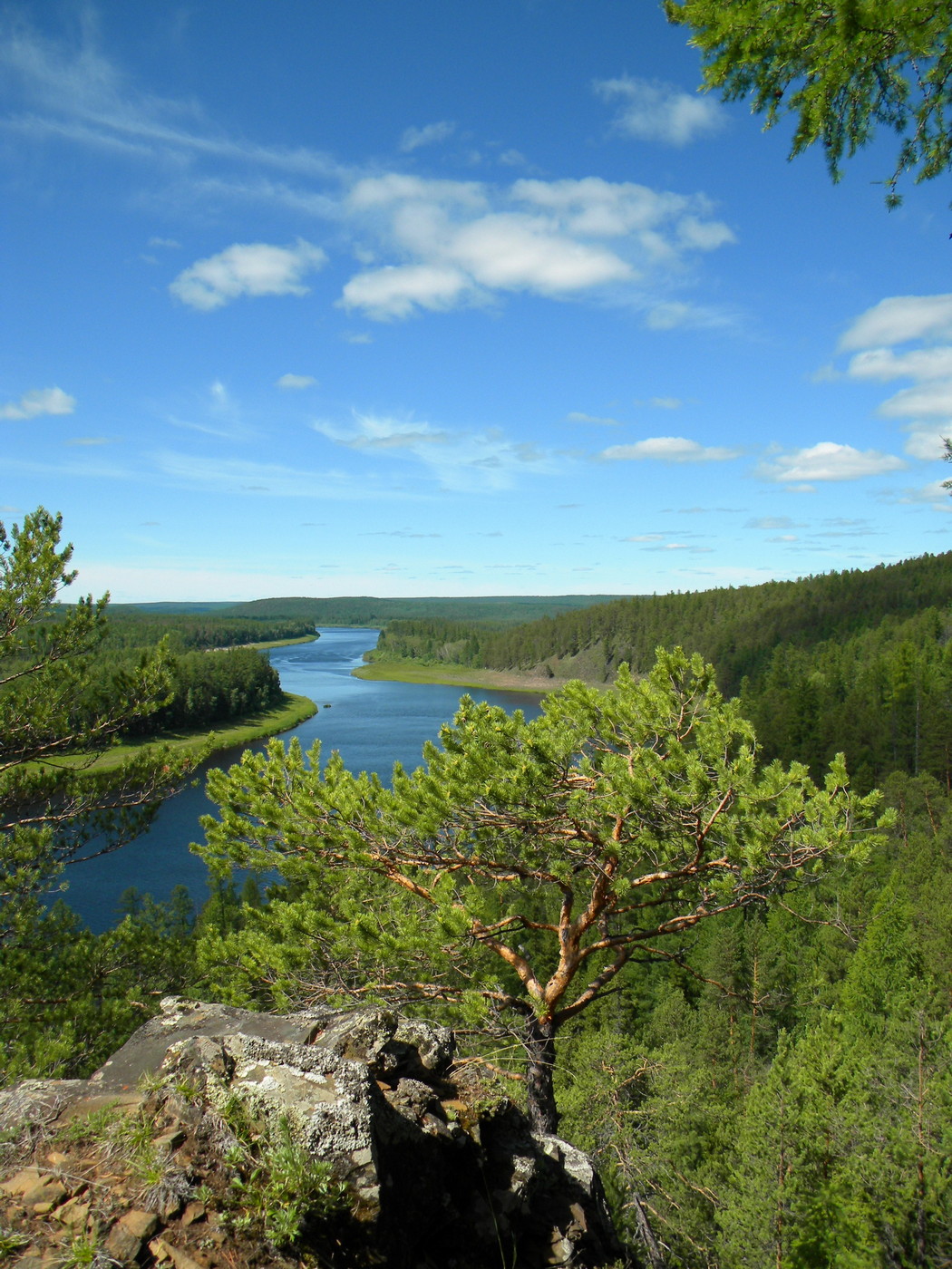 Кордон Малина, image of landscape/habitat.