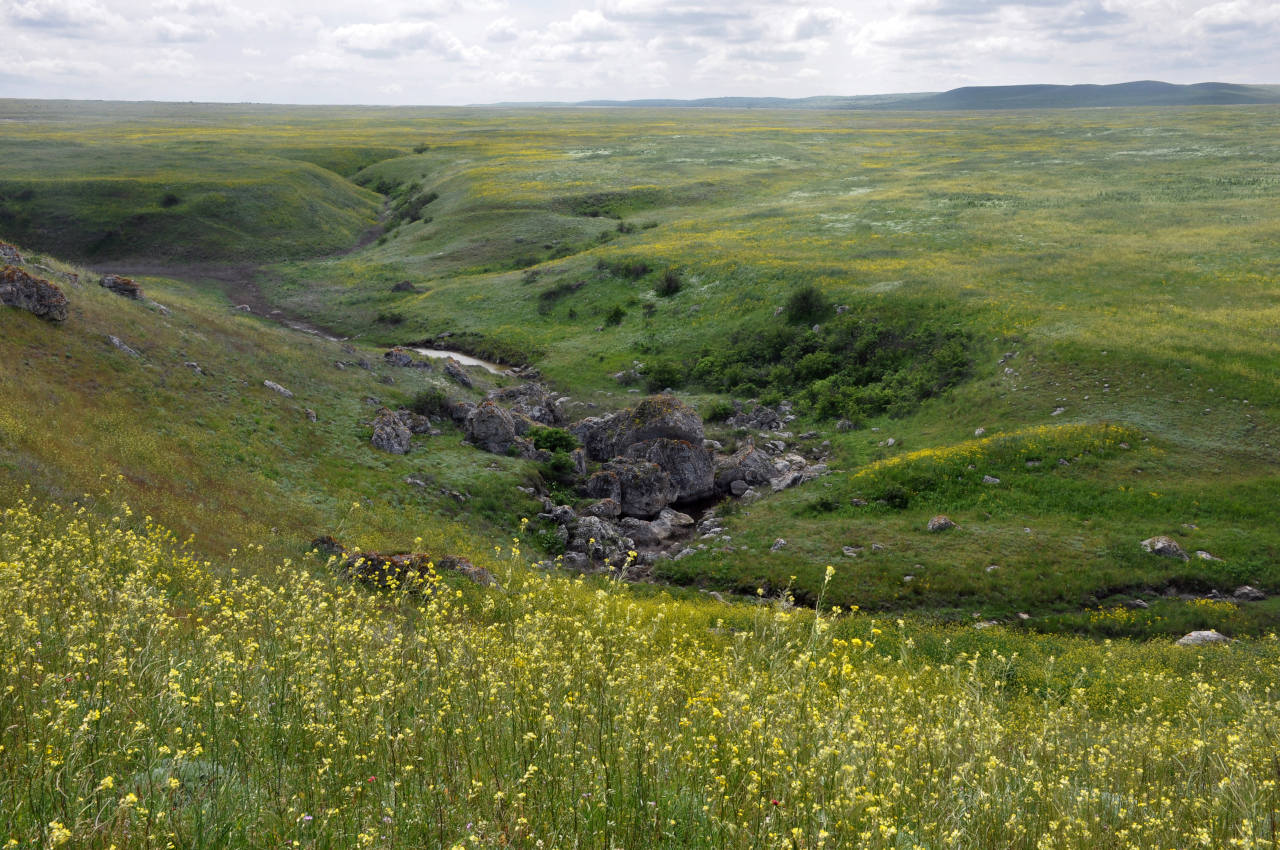 Долина реки Сююрташ, image of landscape/habitat.