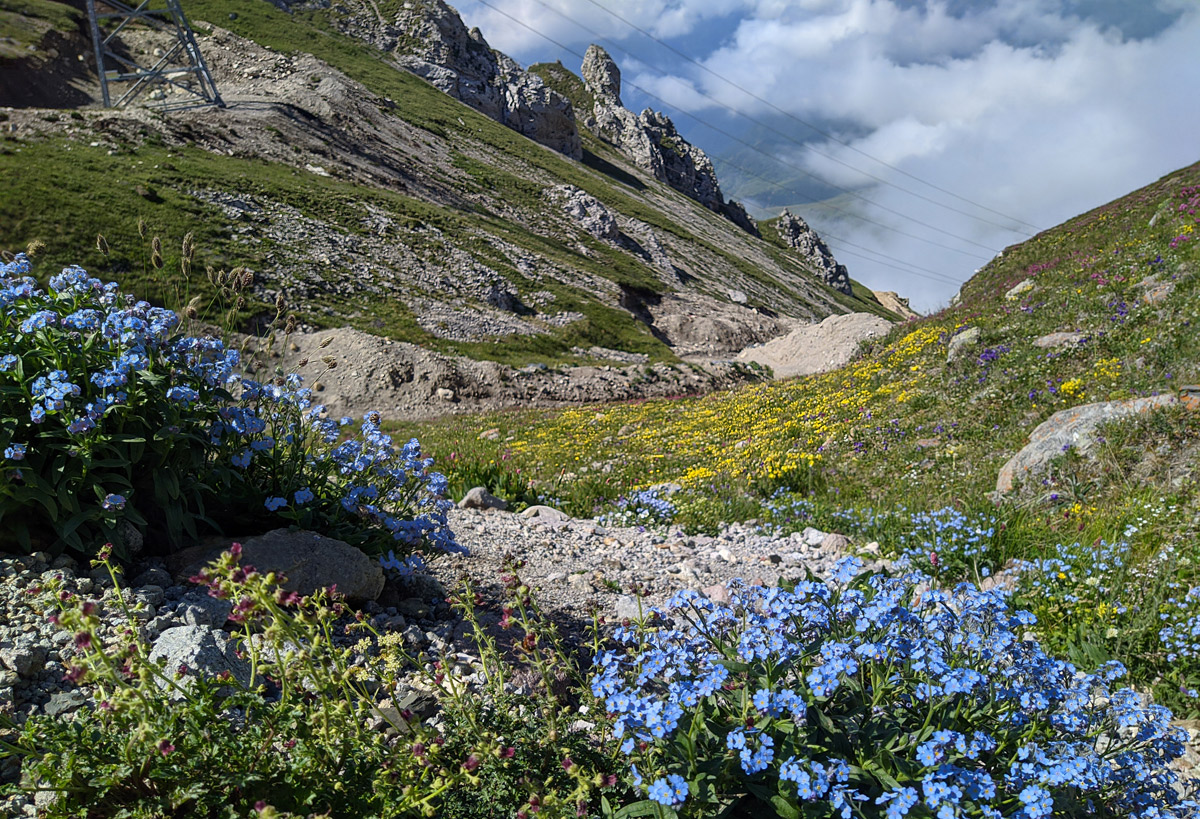 Ходский перевал, image of landscape/habitat.