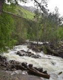 Долина реки Донгуз-Орун, image of landscape/habitat.
