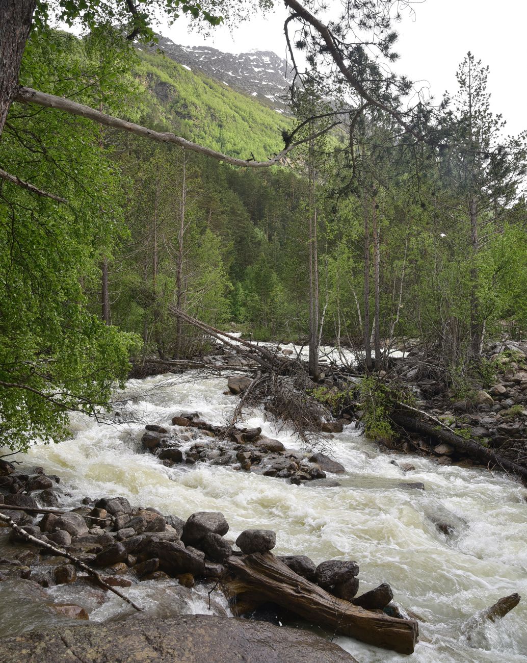 Долина реки Донгуз-Орун, image of landscape/habitat.