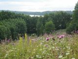 Image of landscape