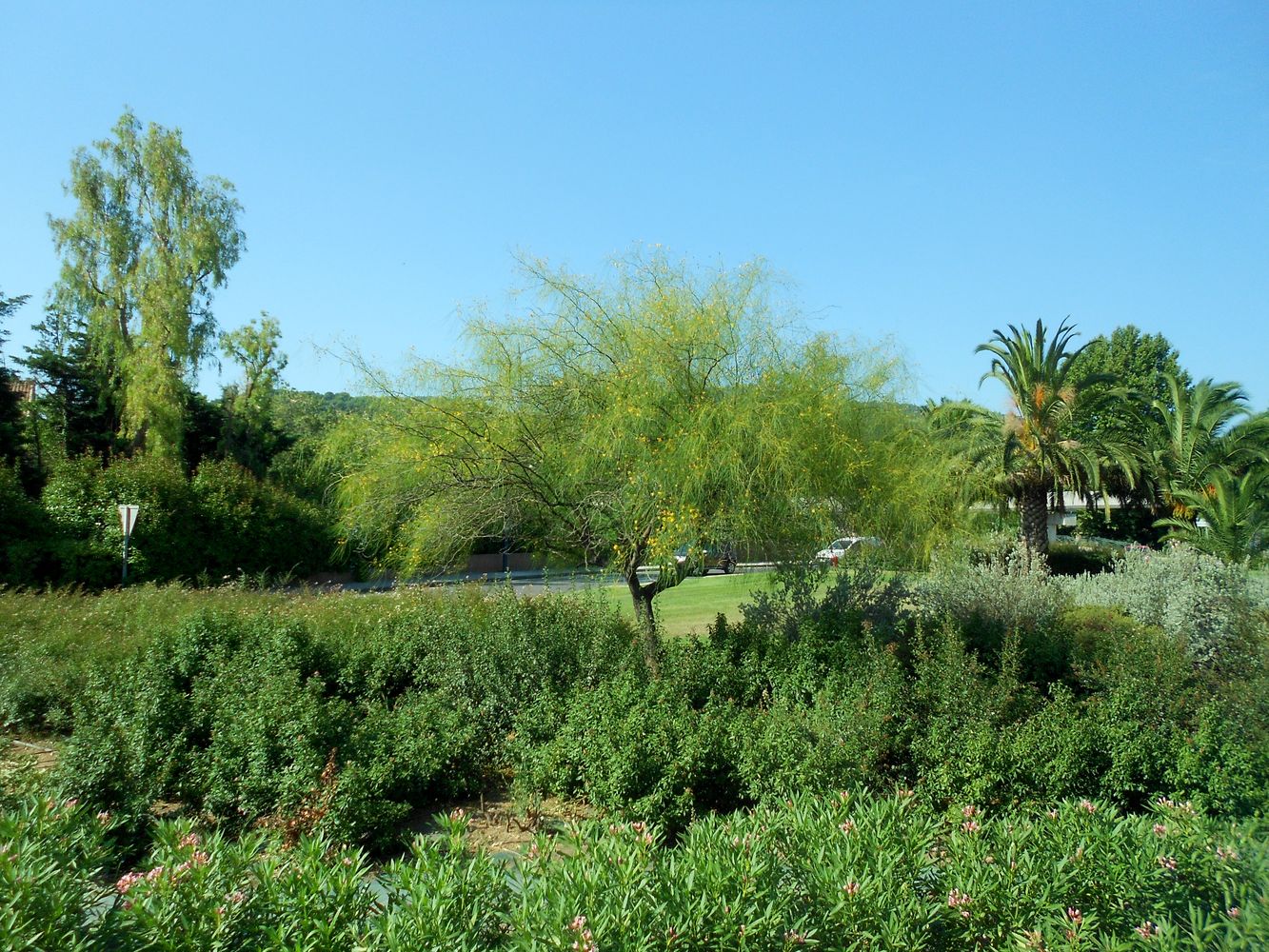 Йер, image of landscape/habitat.