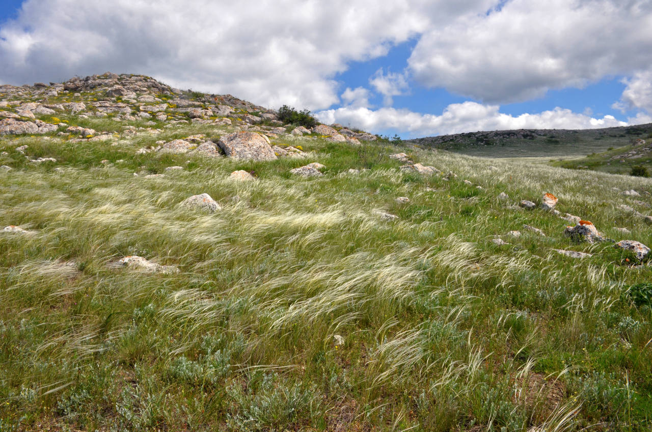 Долина реки Сююрташ, image of landscape/habitat.