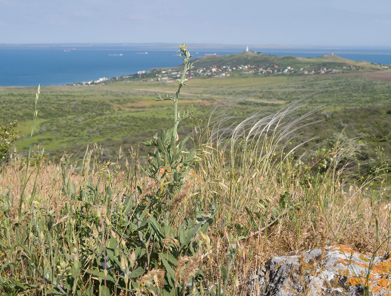 Каменоломня на Хрони, image of landscape/habitat.