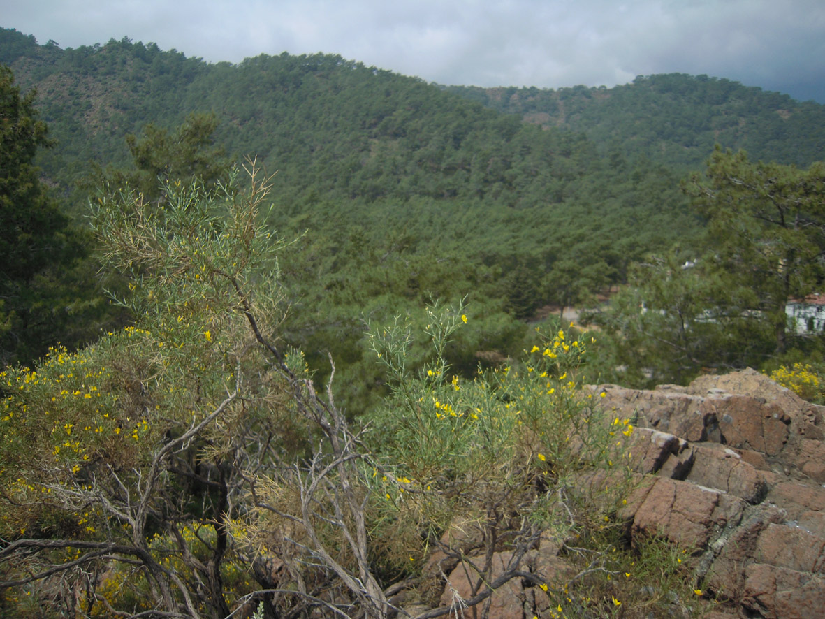 Кемер и окрестности, image of landscape/habitat.