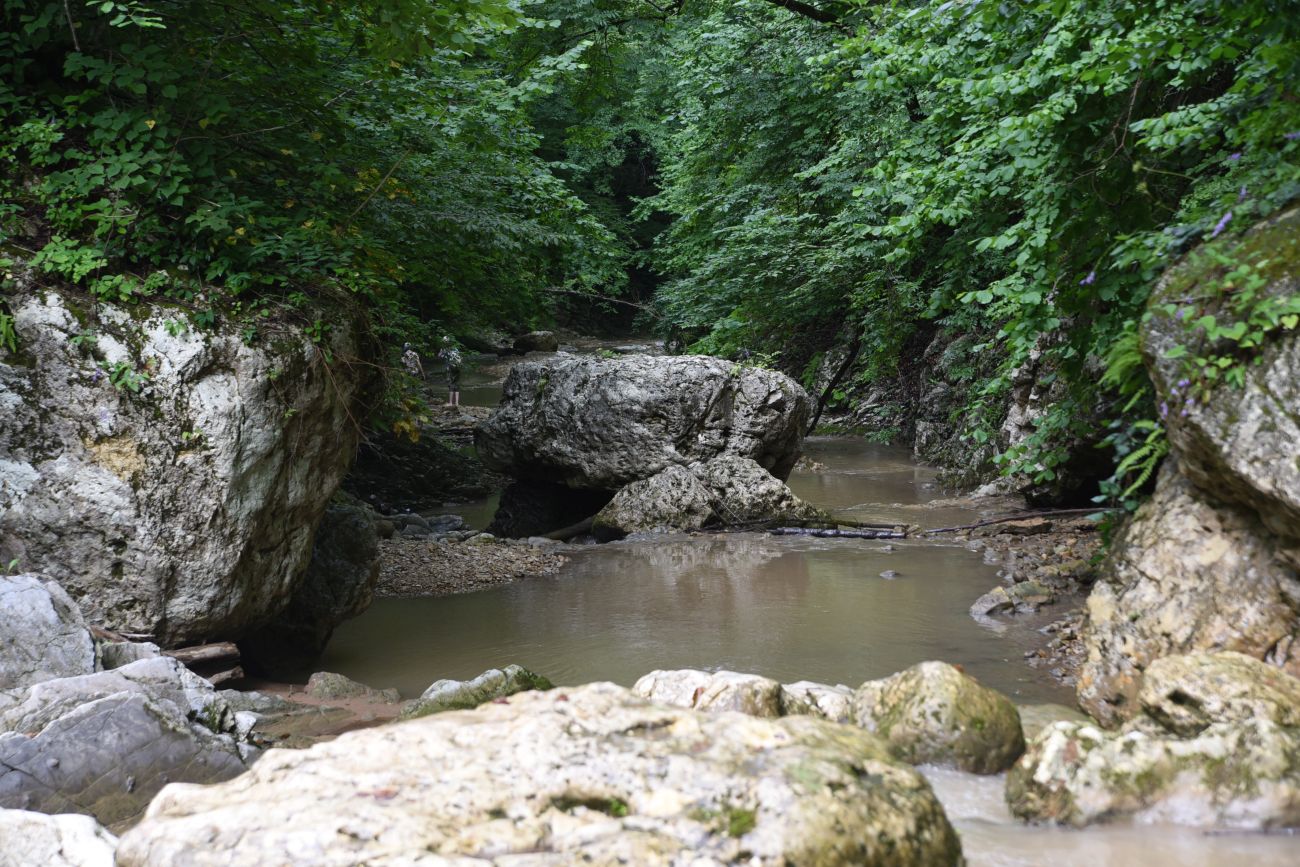 Водопад Шум, image of landscape/habitat.