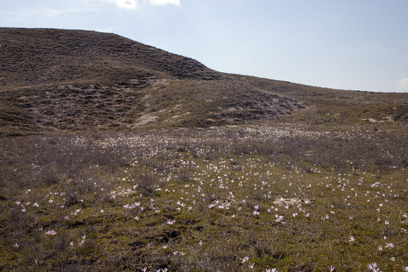 Балка Отрада, image of landscape/habitat.