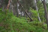 Долина реки Донгуз-Орун, image of landscape/habitat.