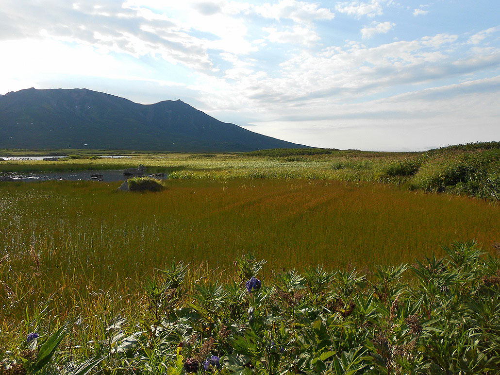 Северо-Курильск, image of landscape/habitat.