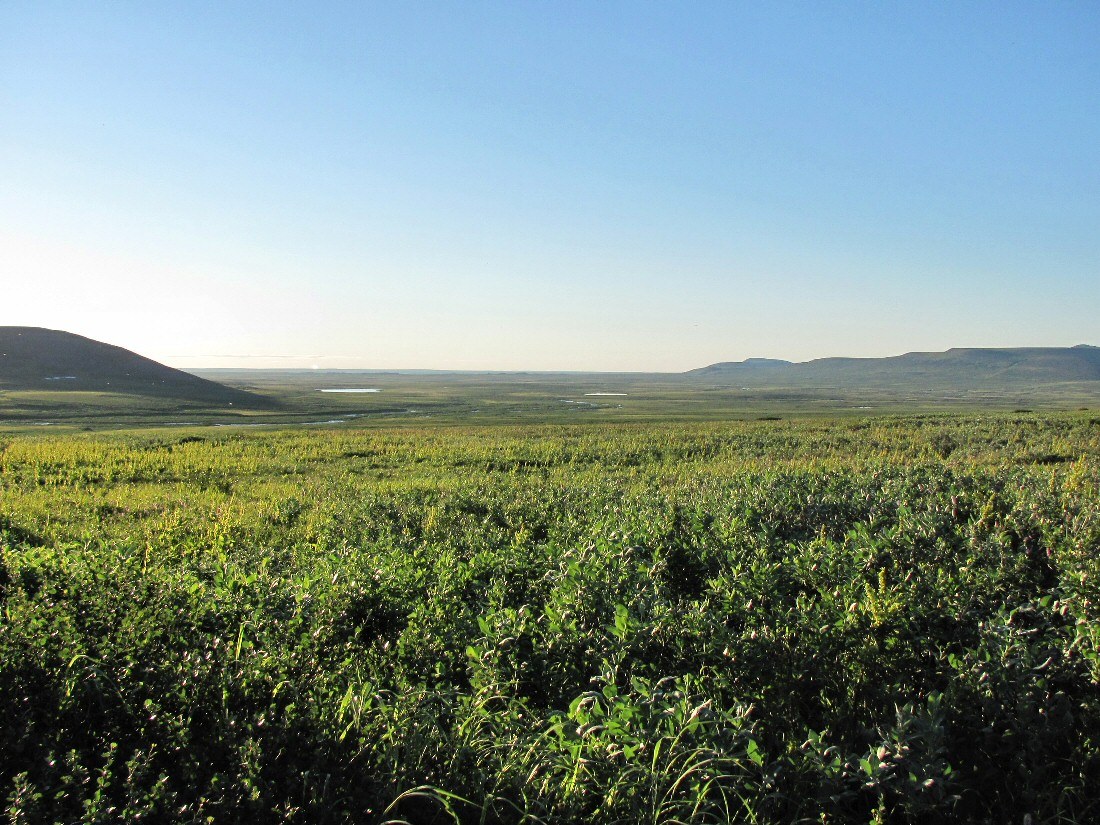 Бадьяшор, image of landscape/habitat.