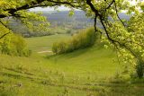 Увал у деревни Благодатная, image of landscape/habitat.