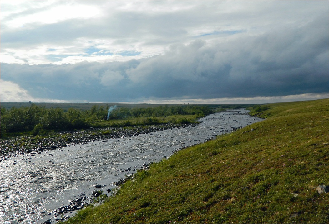 Верховье Юнъяхи, image of landscape/habitat.