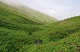 Image of landscape