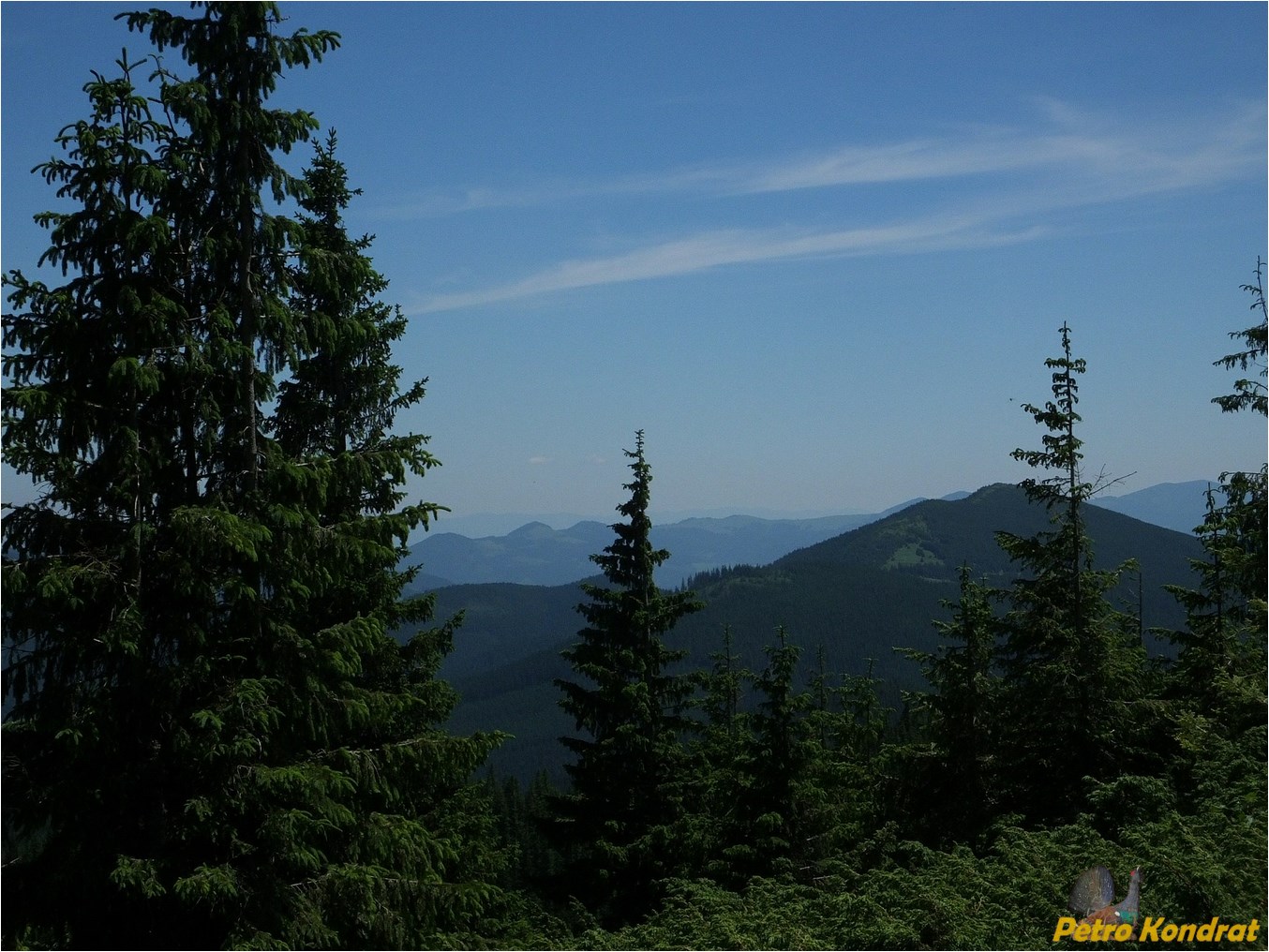 Черногора, image of landscape/habitat.