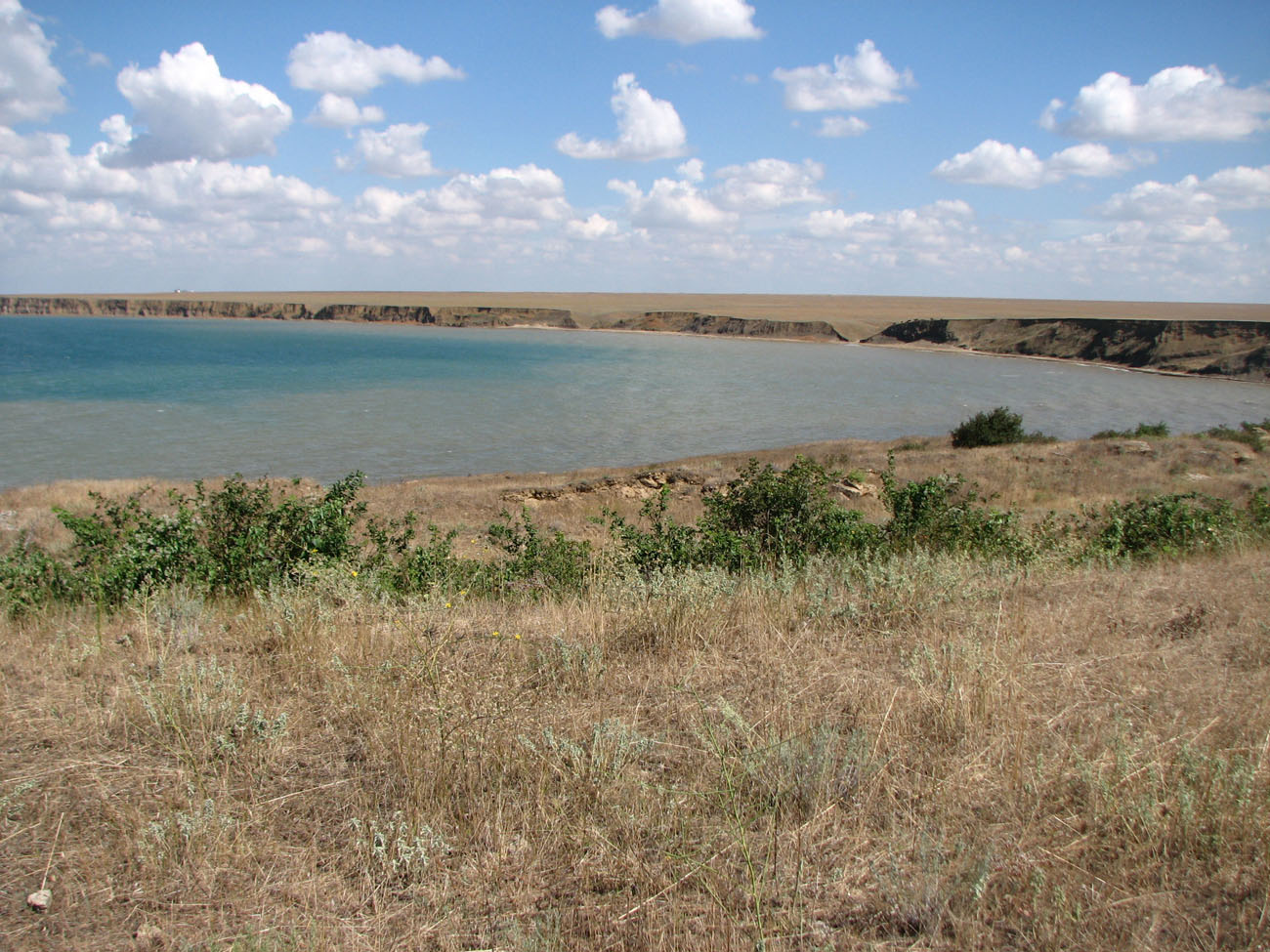 Мыс Чауда, image of landscape/habitat.