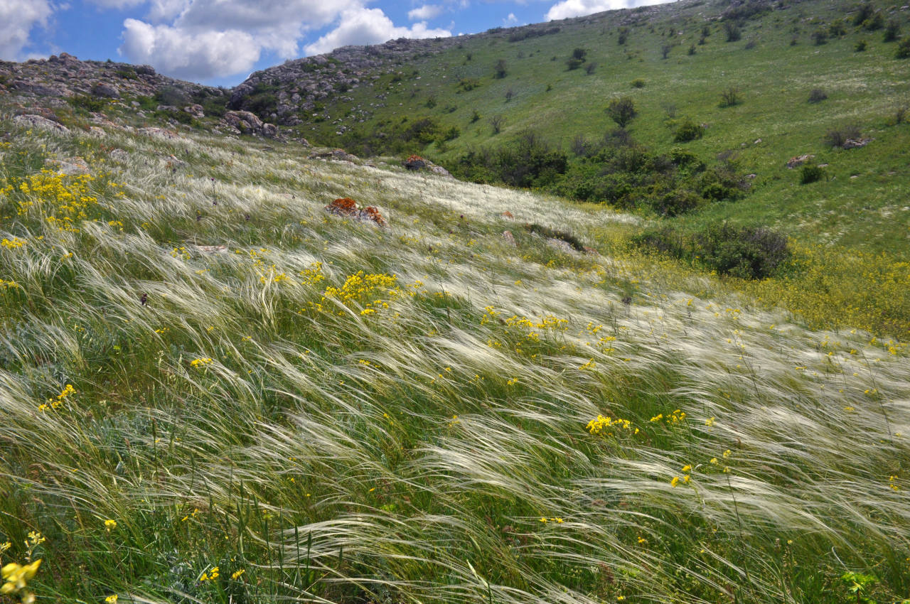 Долина реки Сююрташ, image of landscape/habitat.