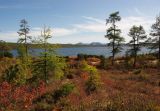 Image of landscape