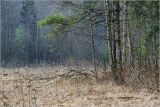 Окрестности Хрипани, изображение ландшафта.