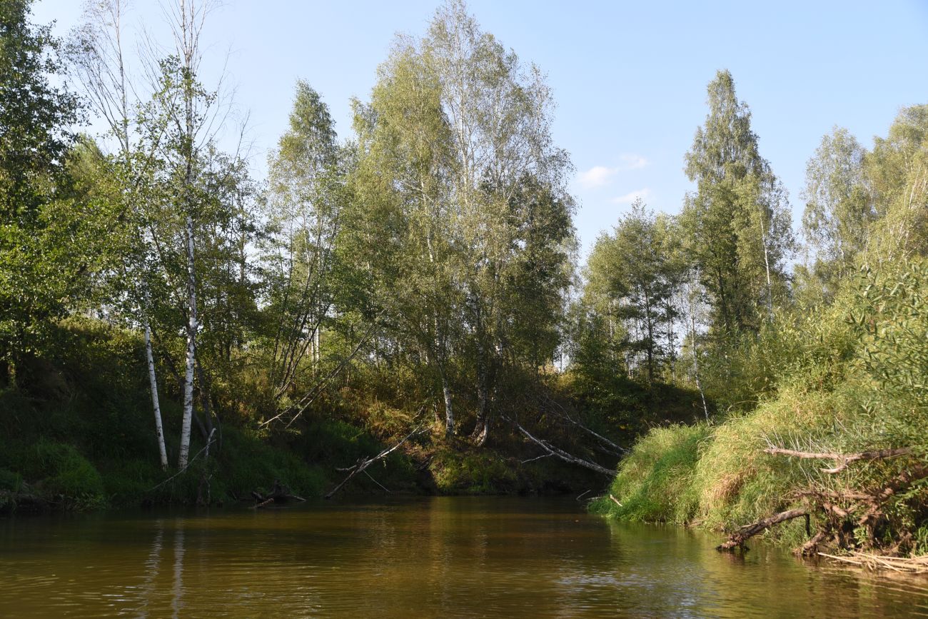 Красногорьевский мост, image of landscape/habitat.