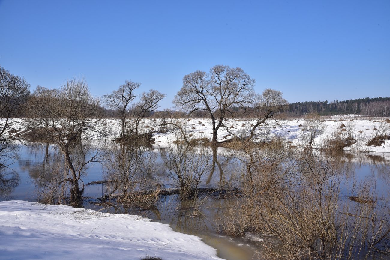 Барский Луг, изображение ландшафта.