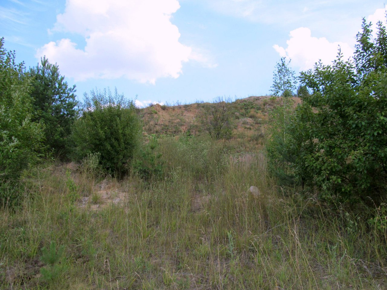 Песчаный карьер "Рутковское", image of landscape/habitat.