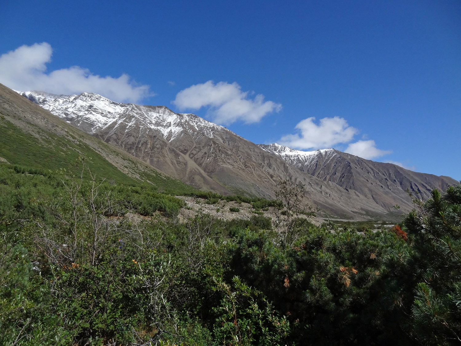 Верховья реки Джапкачан, image of landscape/habitat.