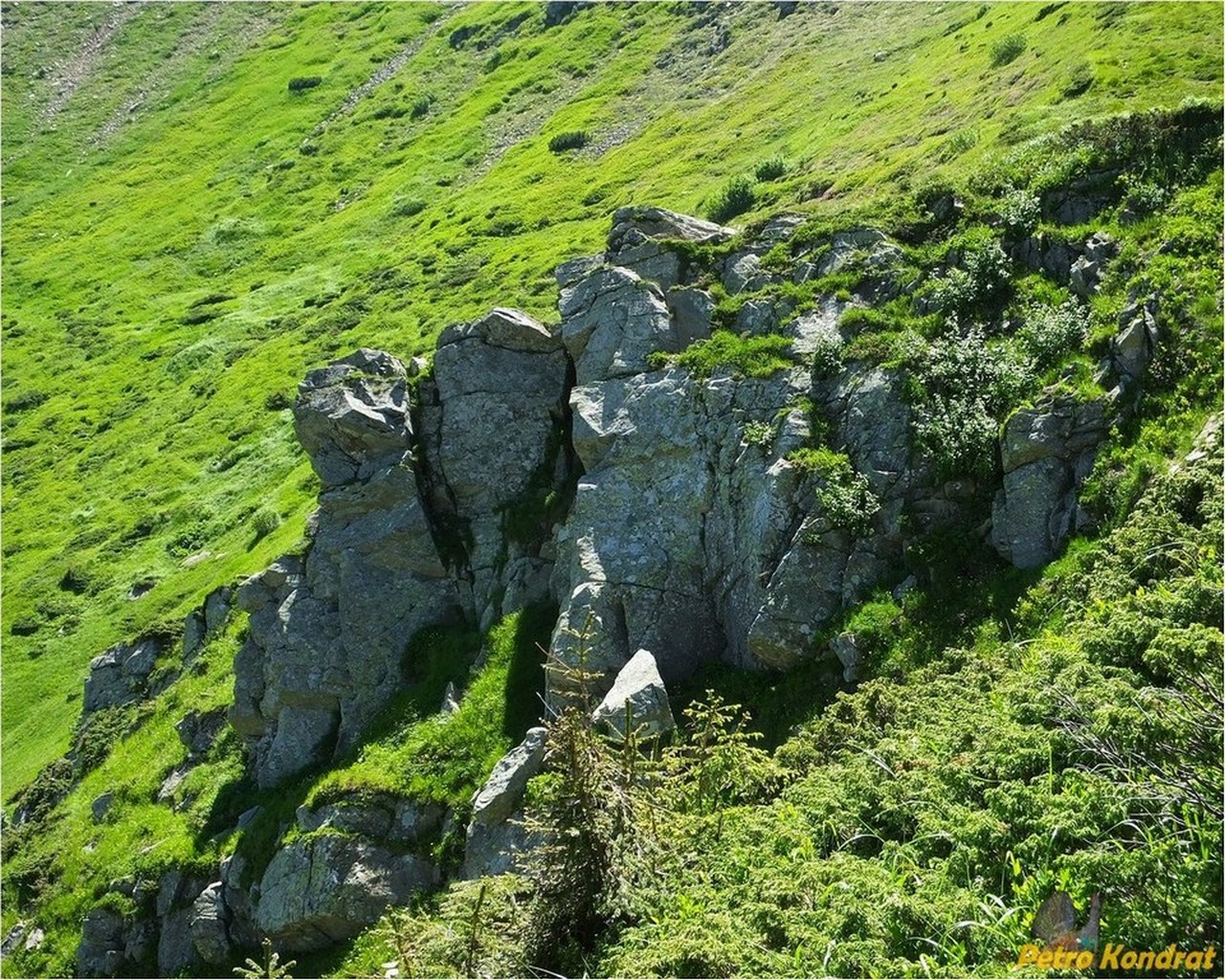 Черногора, изображение ландшафта.