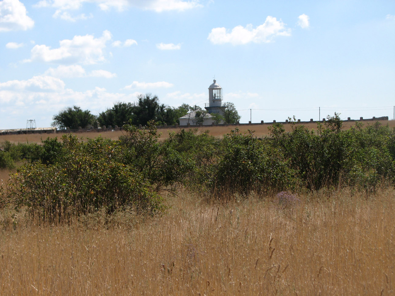 Мыс Чауда, image of landscape/habitat.