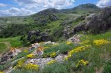 Image of landscape