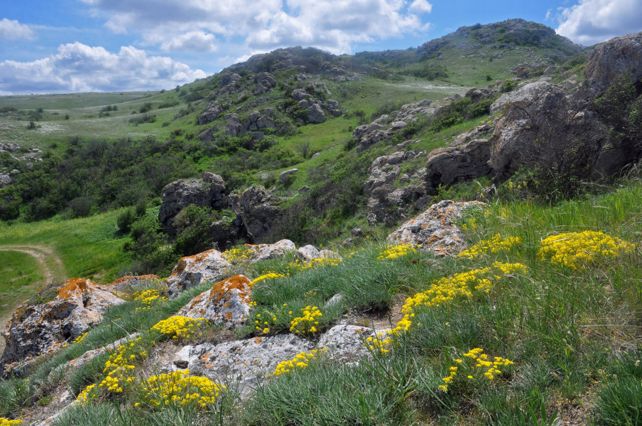 Долина реки Сююрташ, image of landscape/habitat.