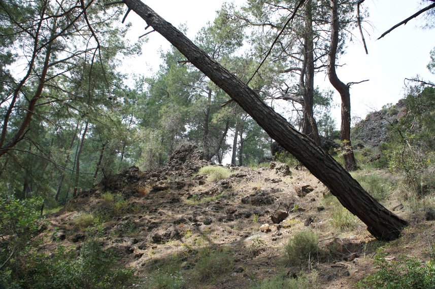 Кемер и окрестности, image of landscape/habitat.