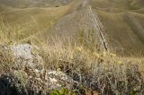 Image of landscape