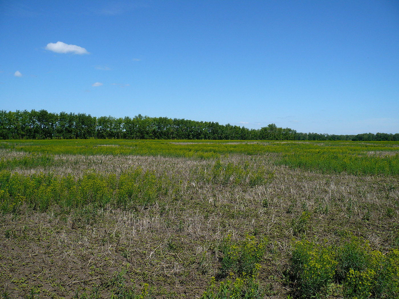 Благодатное, image of landscape/habitat.