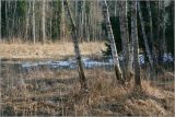 Окрестности Хрипани, изображение ландшафта.