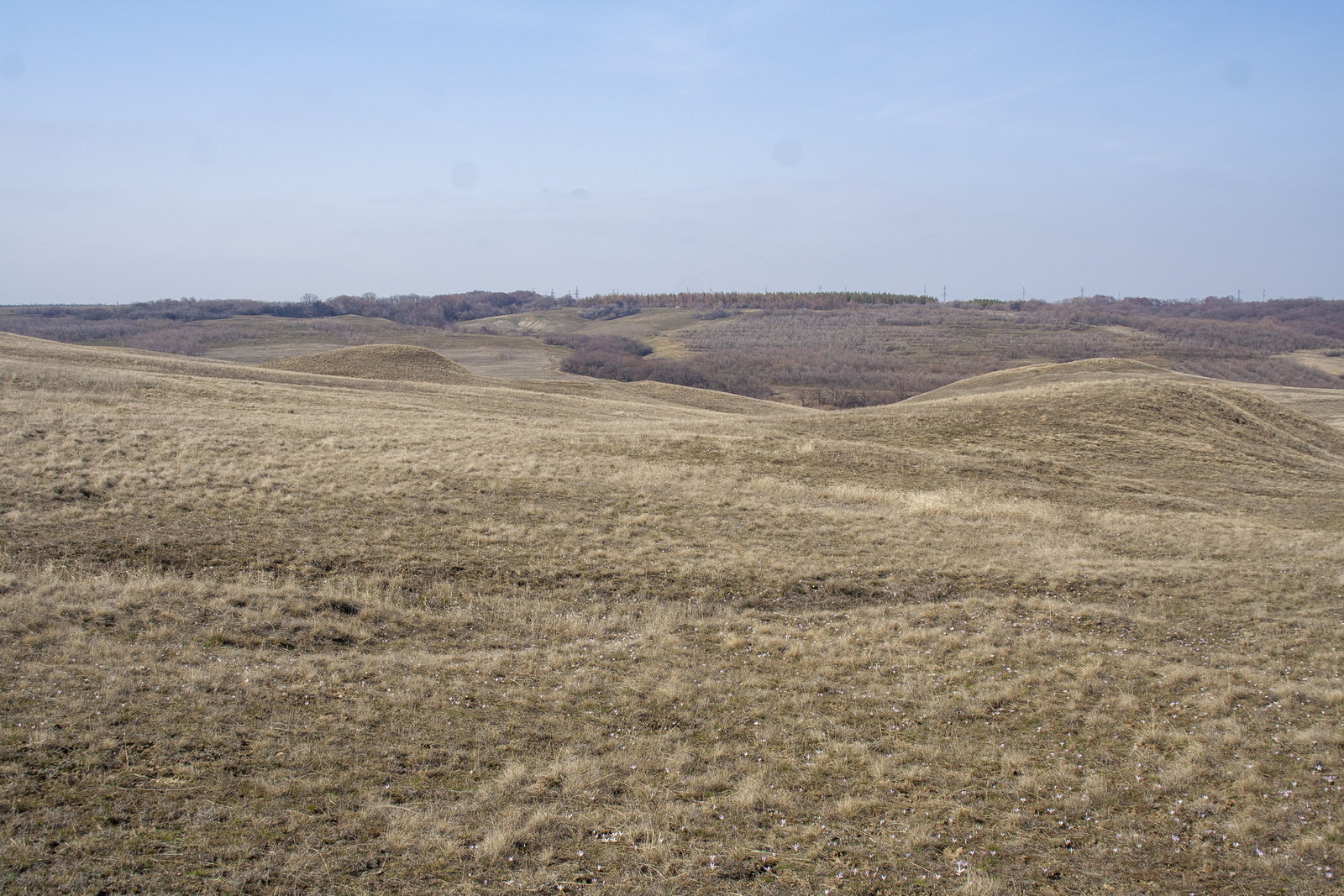 Балка Отрада, image of landscape/habitat.