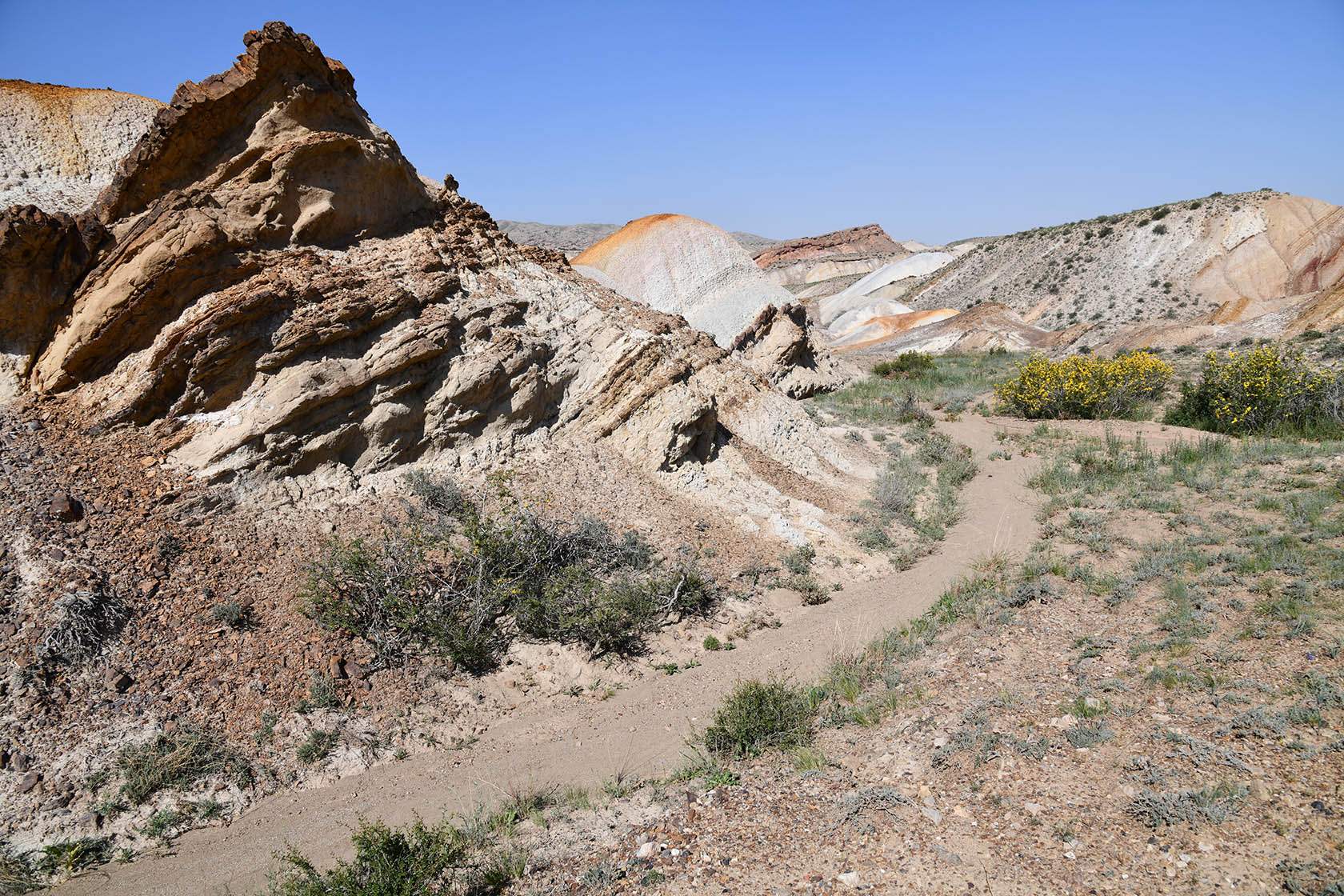 Мадыген, image of landscape/habitat.