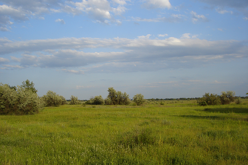 Пойма р. Аксай, изображение ландшафта.