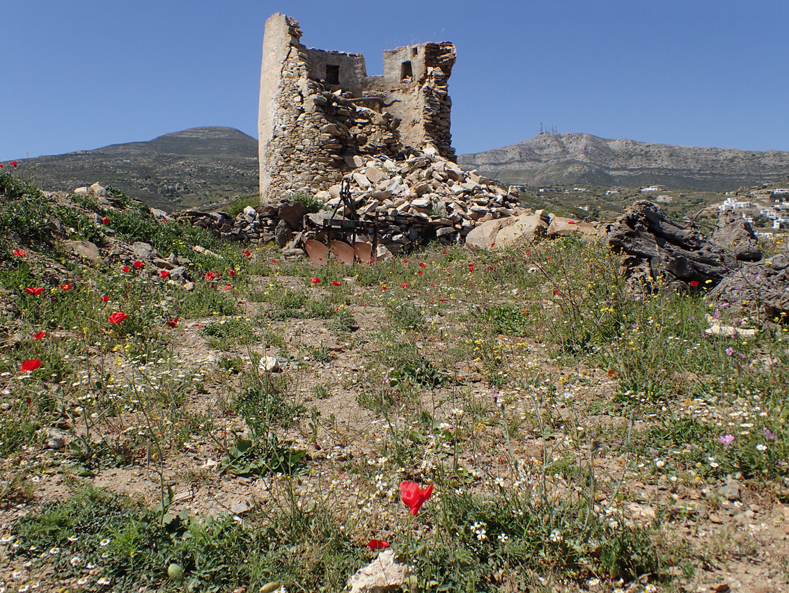 Остров Парос, image of landscape/habitat.