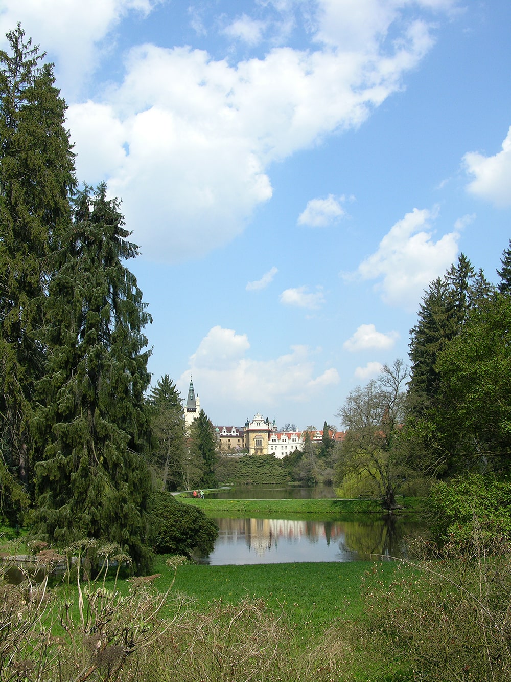 Пругонице, image of landscape/habitat.