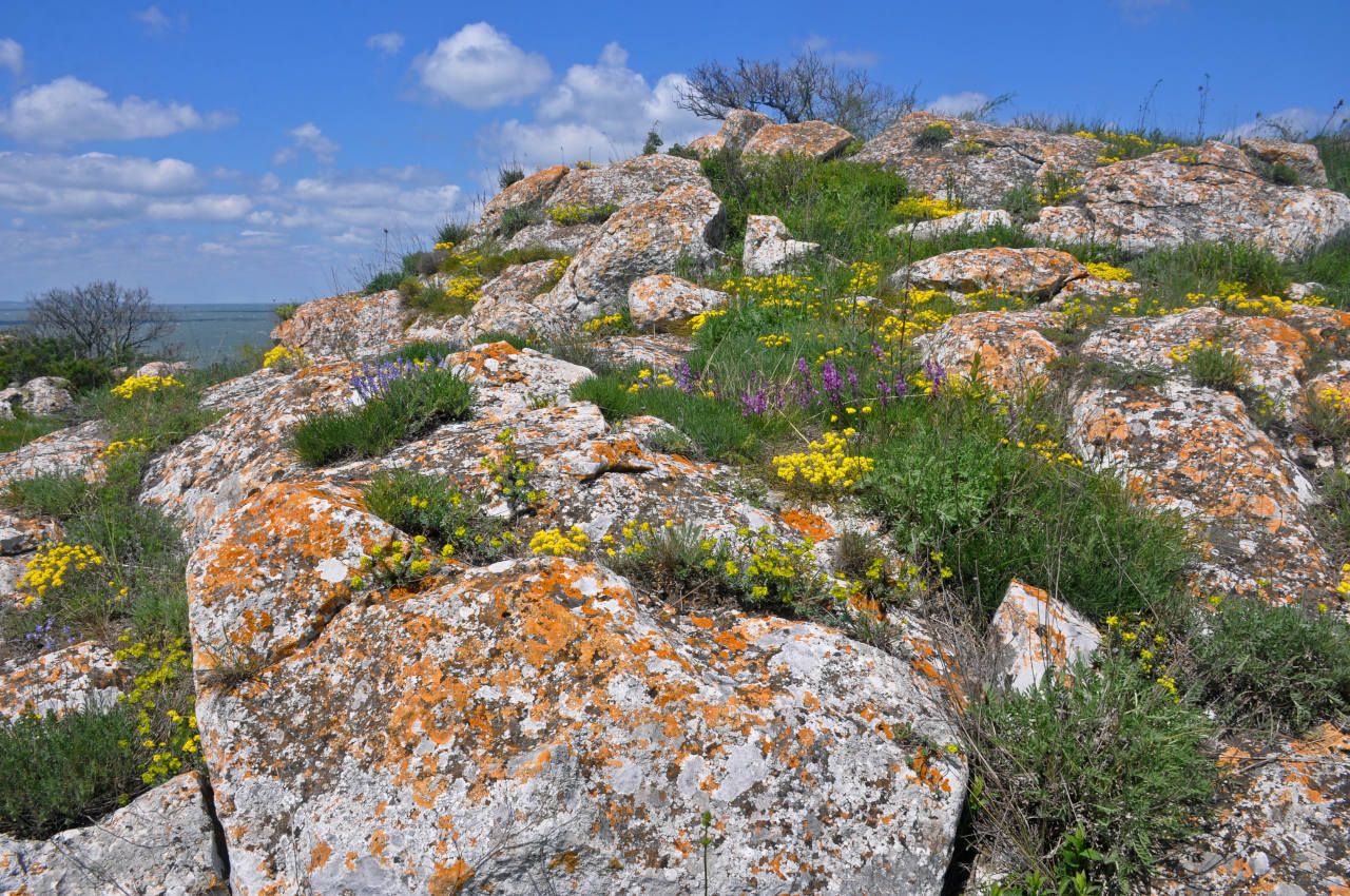 Долина реки Сююрташ, image of landscape/habitat.