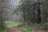 Изображение ландшафта