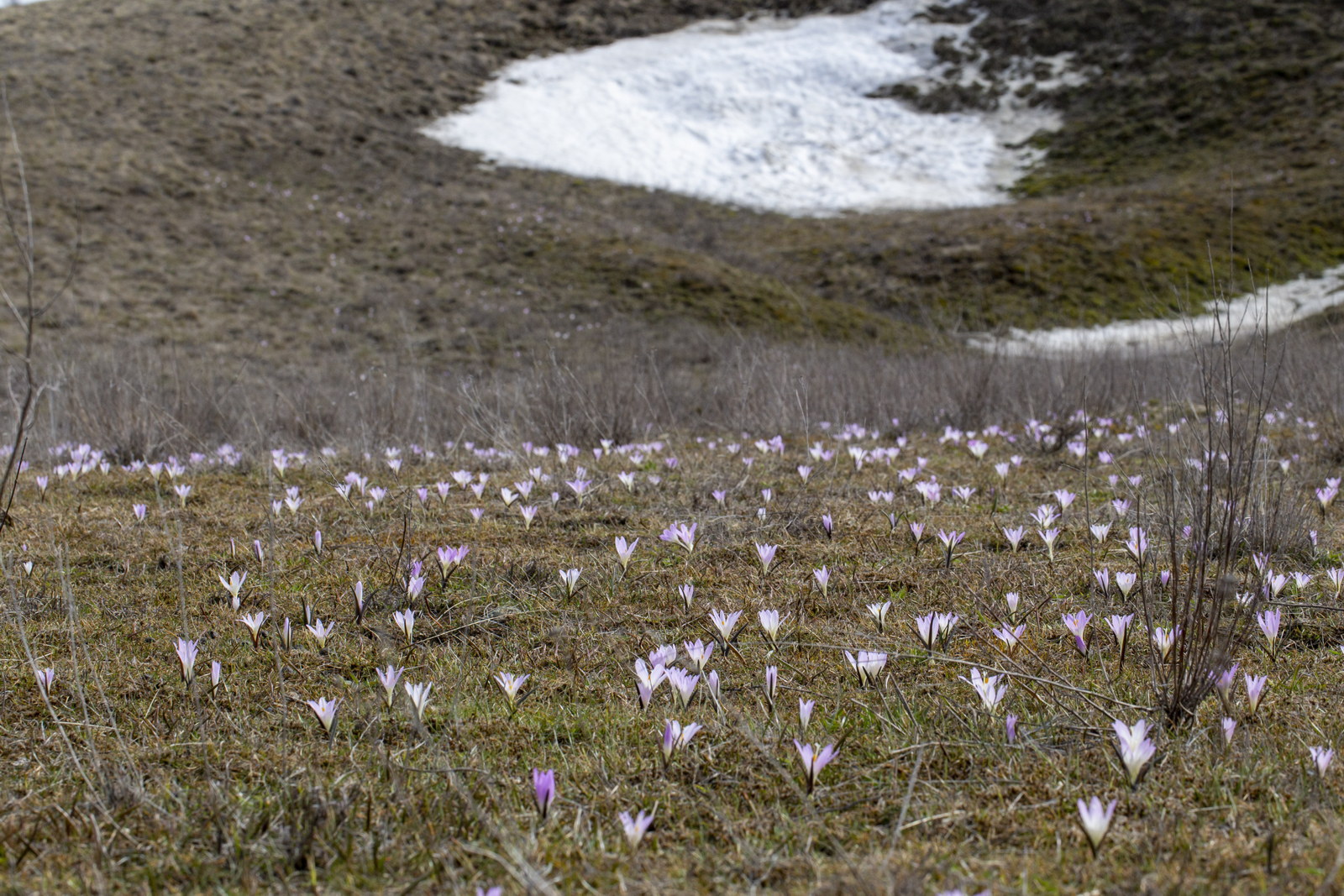Балка Отрада, image of landscape/habitat.