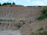 Песчаный карьер "Рутковское", image of landscape/habitat.