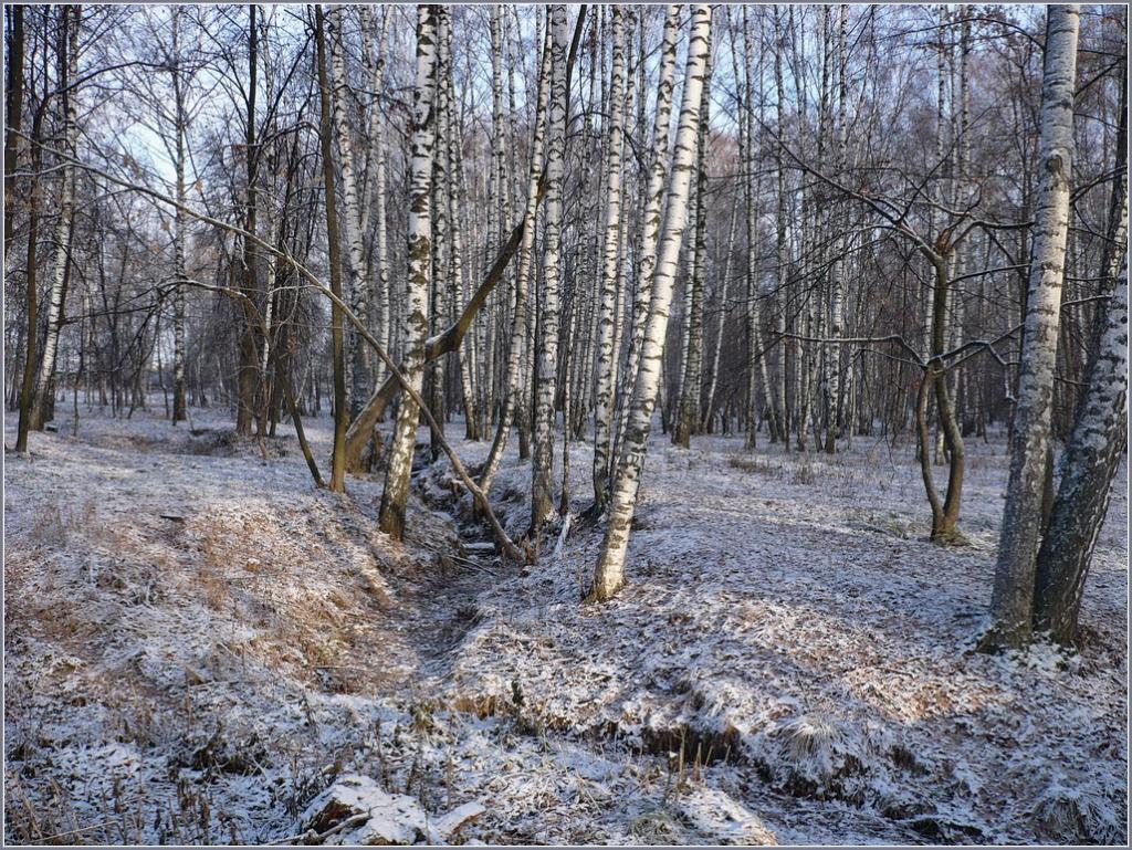 Городской парк, image of landscape/habitat.