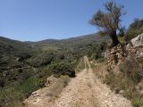 Image of landscape