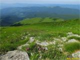 Черногора, image of landscape/habitat.