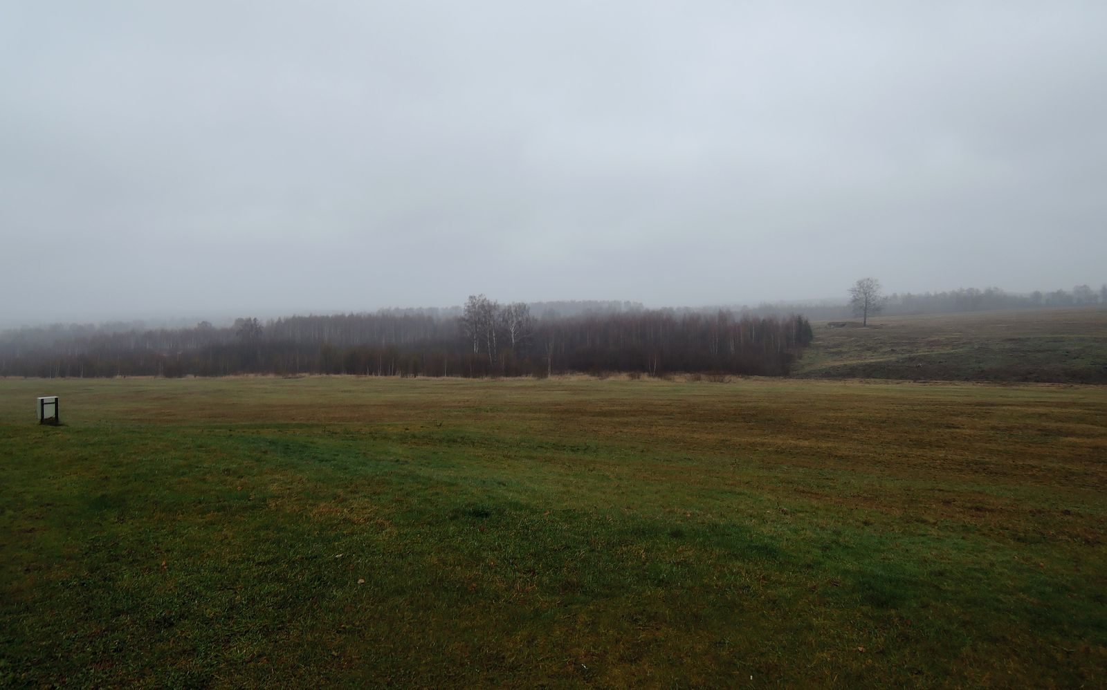 Окрестности деревни Бородино, image of landscape/habitat.