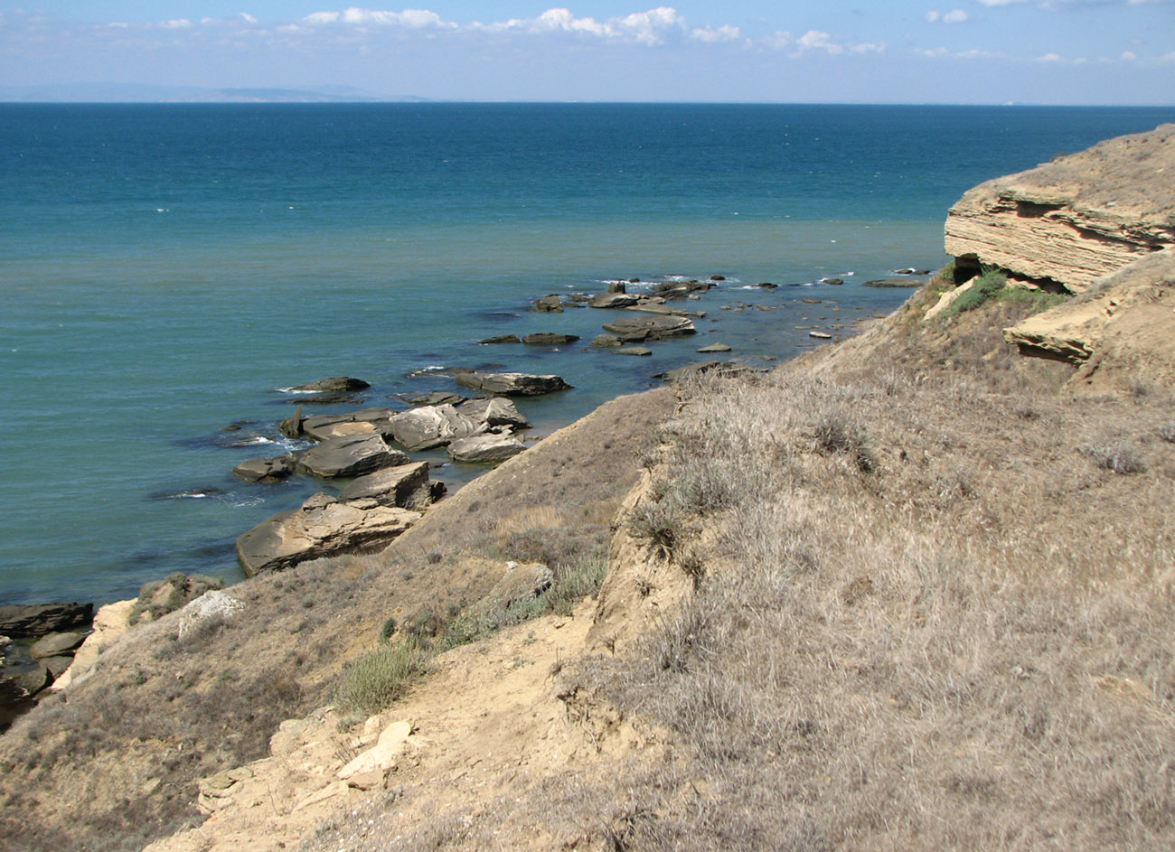 Мыс Чауда, image of landscape/habitat.